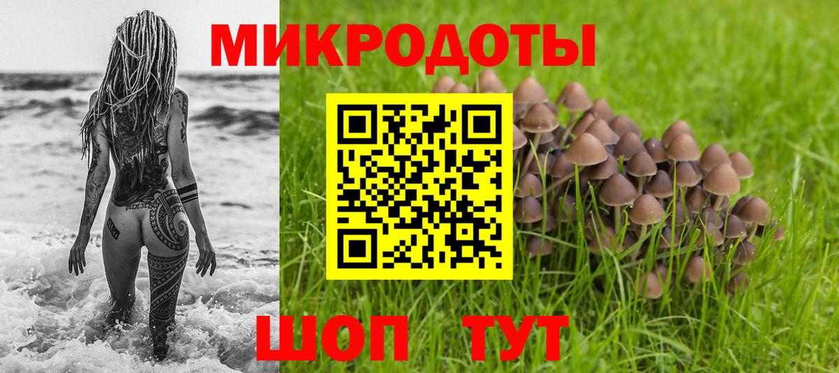 Псилоцибиновые грибы мухоморы Великий Устюг